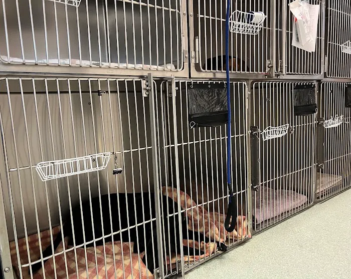 Spay & Neuter Clinic Picture 2