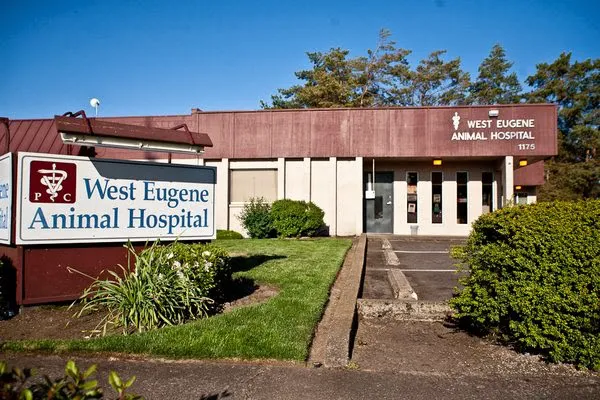 West Eugene Animal Hospital Picture 3