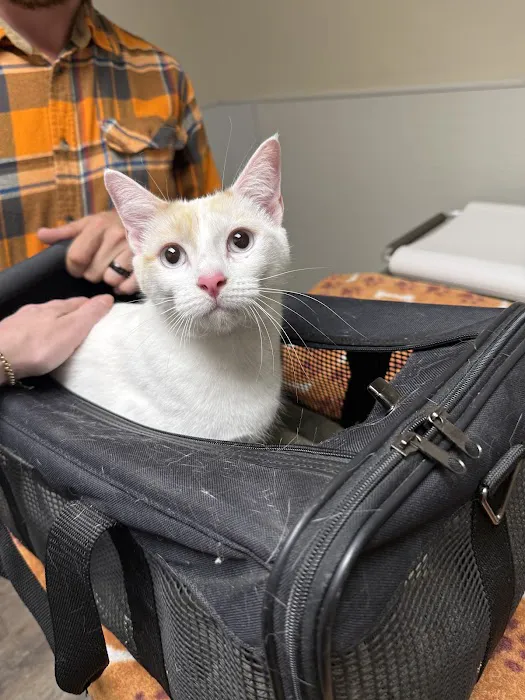 West Eugene Animal Hospital Picture 2