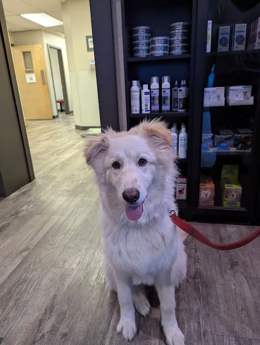 West Eugene Animal Hospital Picture 8