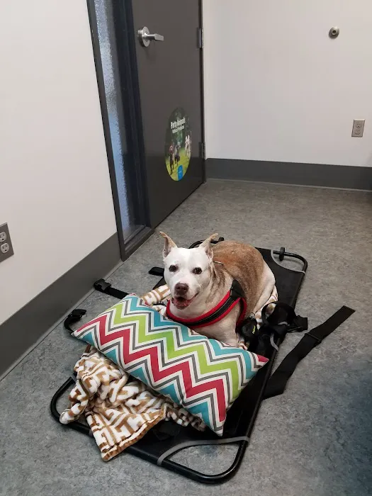 VCA Westmoreland Animal Hospital Picture 7
