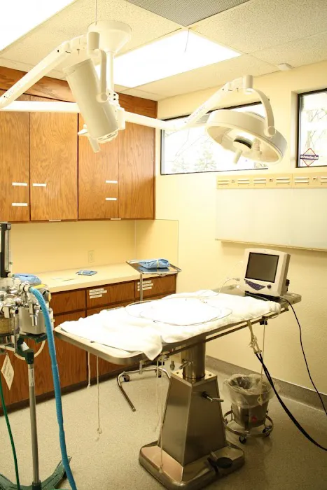 VCA Westmoreland Animal Hospital Picture 10
