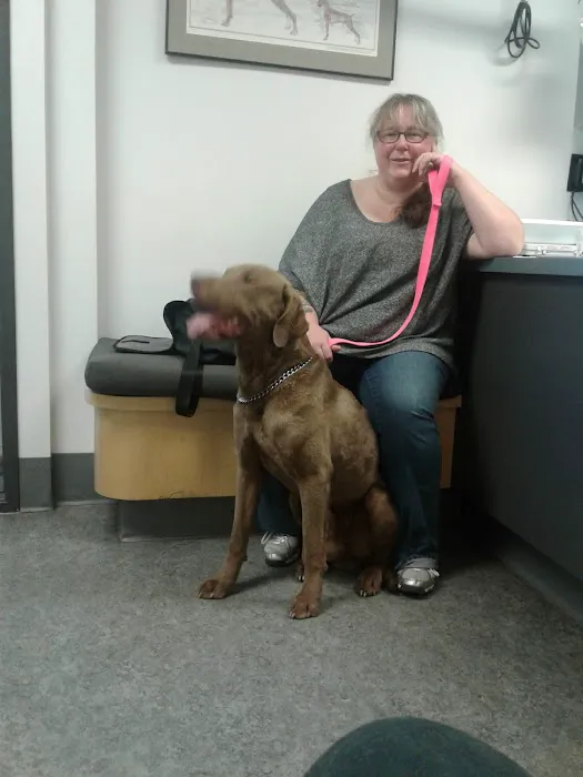VCA Westmoreland Animal Hospital Picture 6