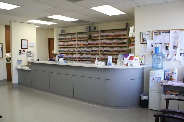 VCA Westmoreland Animal Hospital Picture 9