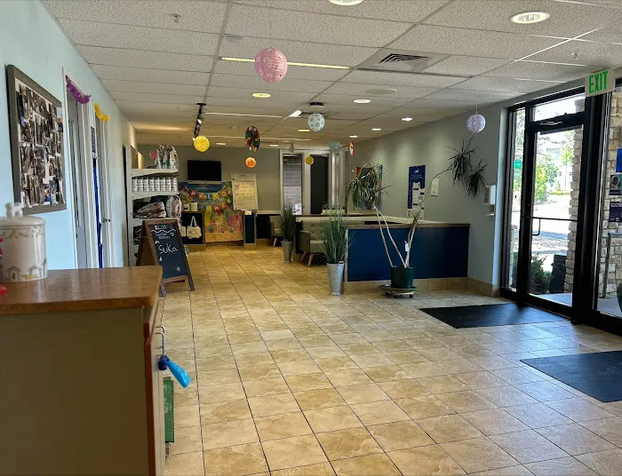 VCA Fort Collins Animal Hospital Picture 7