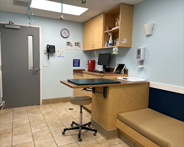 VCA Fort Collins Animal Hospital Picture 6