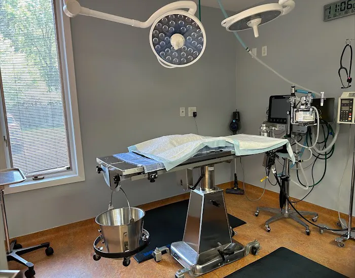 VCA Fort Collins Animal Hospital Picture 8