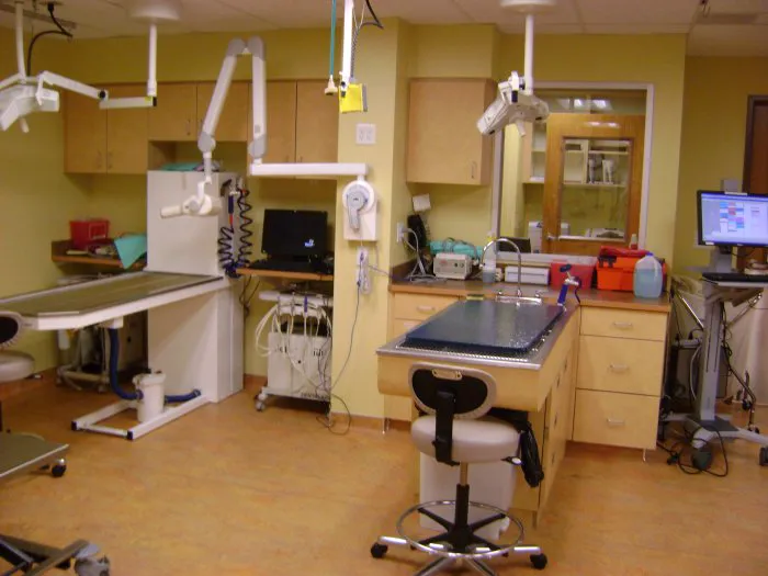 VCA Fort Collins Animal Hospital Picture 9