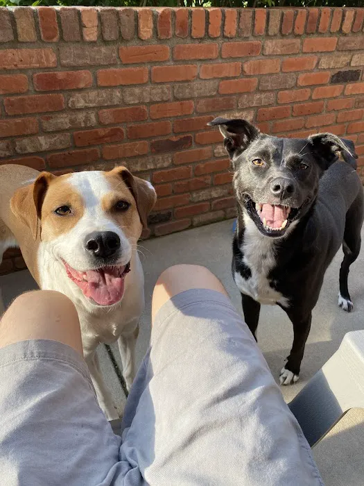 Fossil Ridge Animal Hospital Picture 2