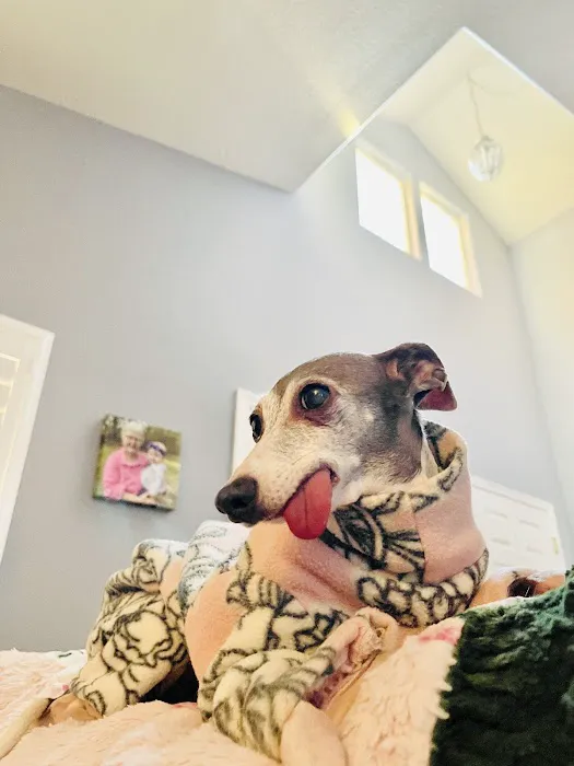 Pet Wellness Clinic LLC Picture 1