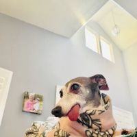 Pet Wellness Clinic LLC ico