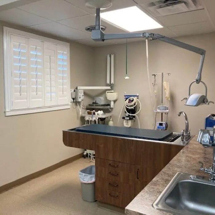 Pet Wellness Clinic LLC Picture 10