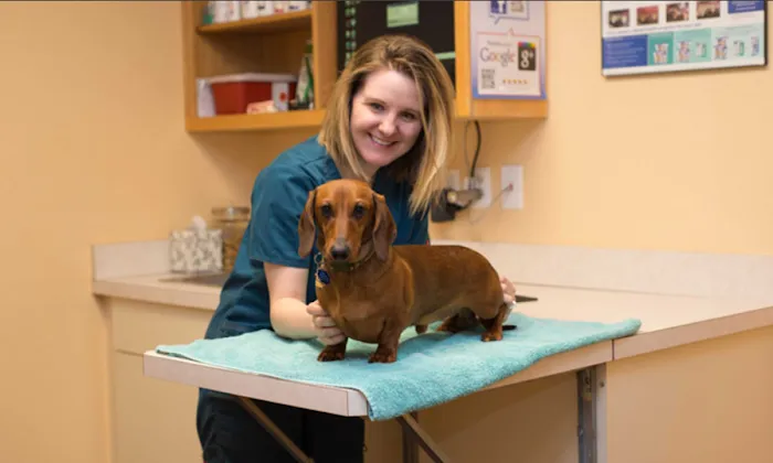 Friendship Hospital for Animals Picture 8
