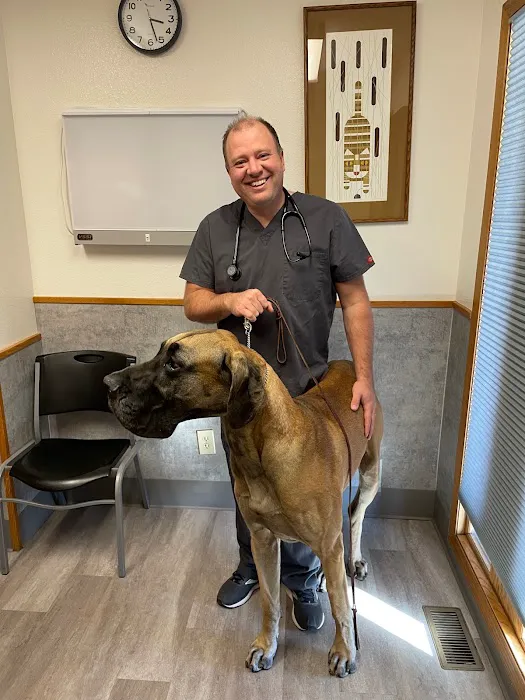 Harmony Road Veterinary Clinic Picture 2