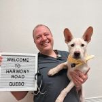 Harmony Road Veterinary Clinic
