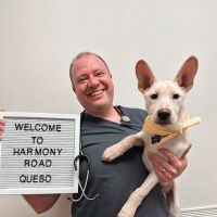 Harmony Road Veterinary Clinic ico