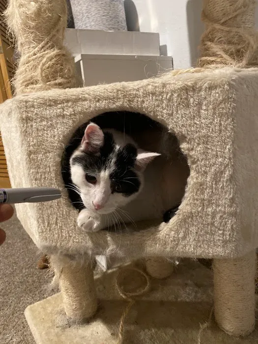 Banfield Pet Hospital Picture 7