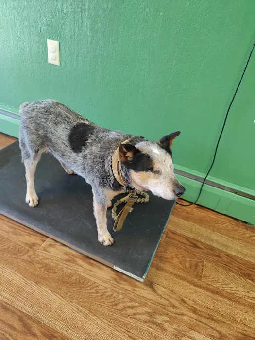 Platte Valley Veterinary Picture 3
