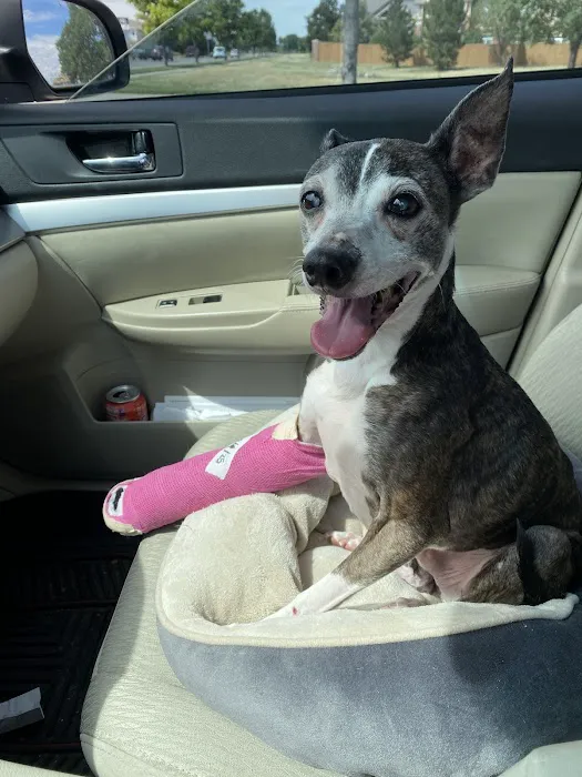Inkwell Veterinary Emergency Clinic Picture 1