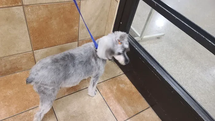 Banfield Pet Hospital Picture 6