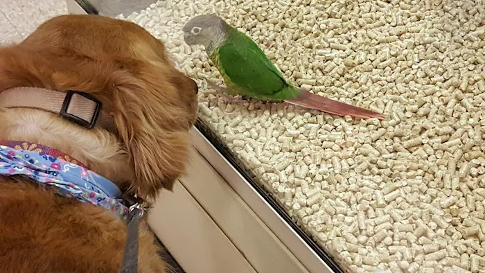 Banfield Pet Hospital Picture 7