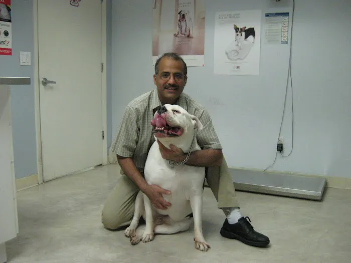 ABC Pet Clinic Picture 2