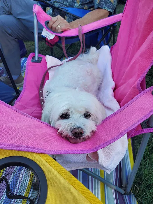 ABC Pet Clinic Picture 7