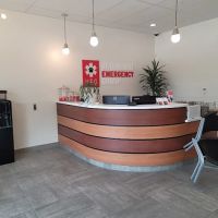 Veterinary Emergency Group ico