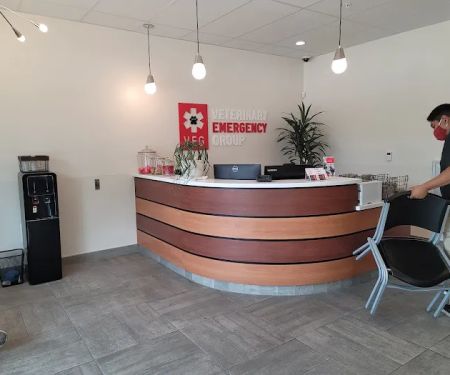 Veterinary Emergency Group