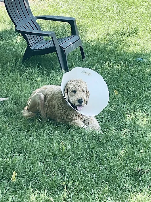 San Ramon Veterinary Hospital Picture 2
