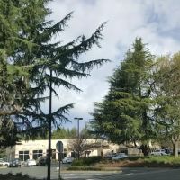 Bishop Ranch Veterinary Center: Dodd Michele DVM ico