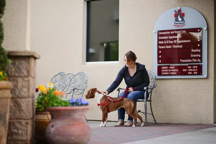Bishop Ranch Veterinary Center & Urgent Care Picture 7