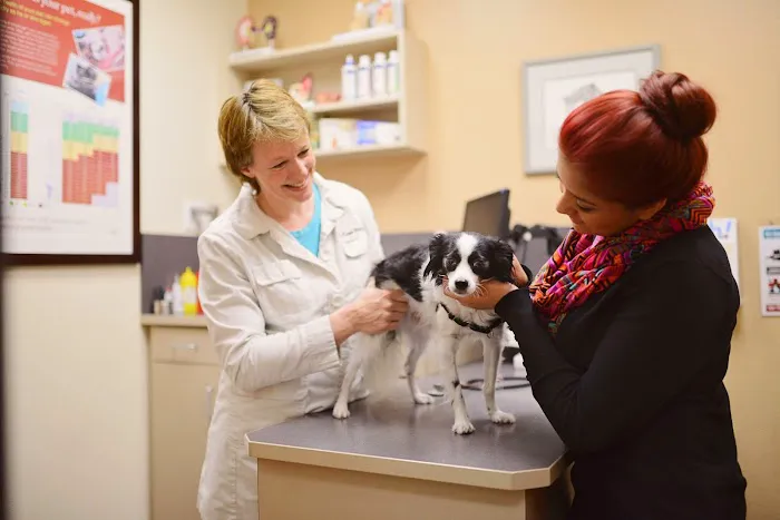 Bishop Ranch Veterinary Center & Urgent Care Picture 4