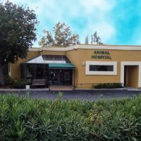 Animal Clinic of Antioch ico