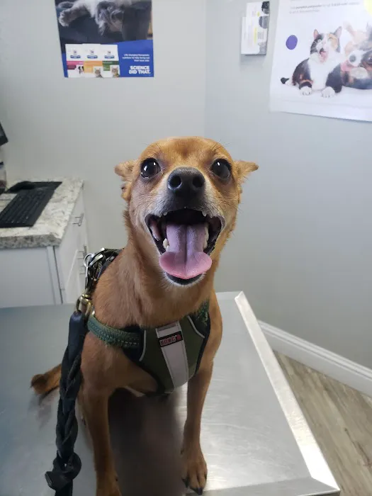 Abbey Vet Hospital Picture 10