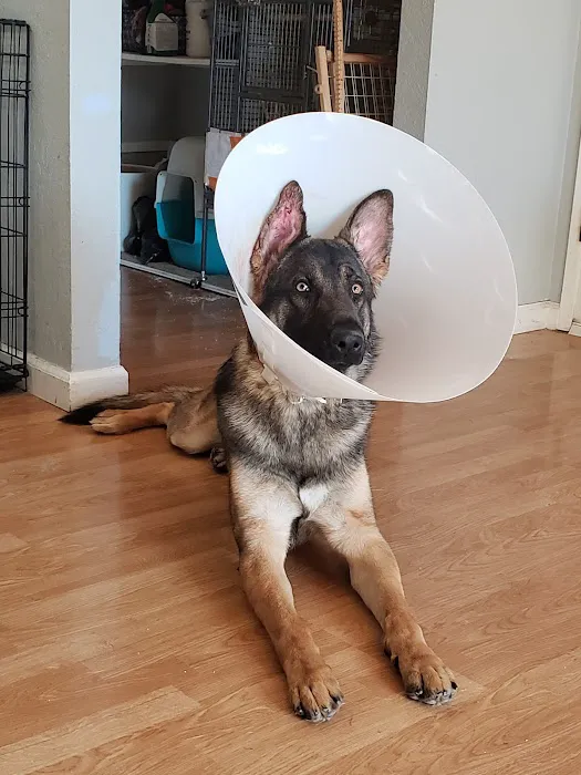 VCA East Bay Veterinary Emergency Picture 1