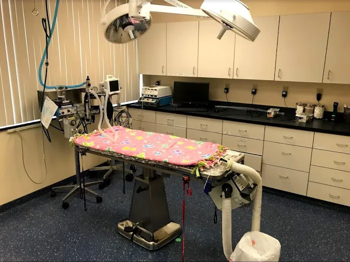 VCA East Bay Veterinary Emergency Picture 7