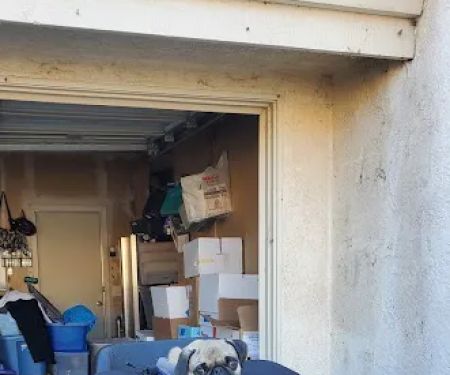 Banfield Pet Hospital