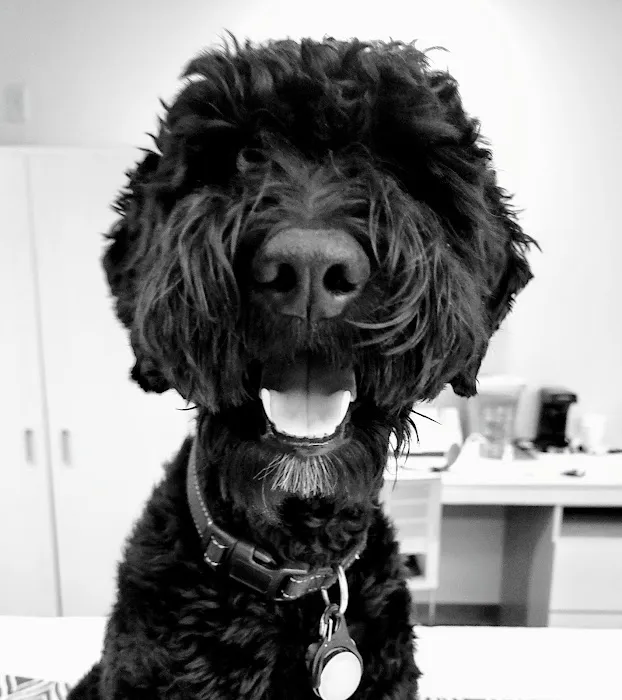 Banfield Pet Hospital Picture 6