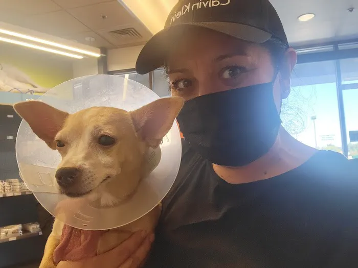 Banfield Pet Hospital Picture 10