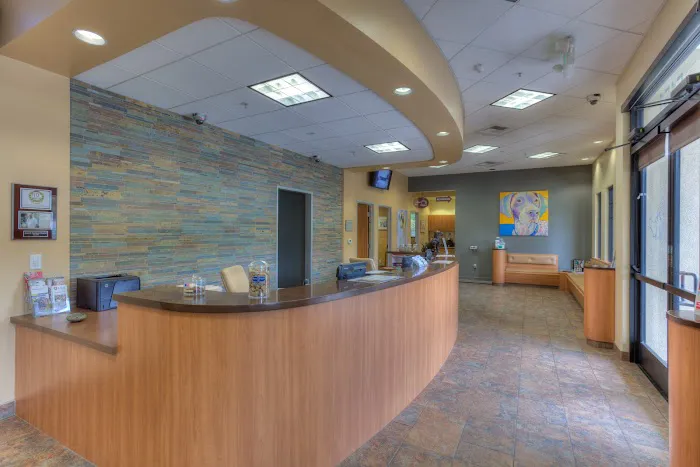 VCA Antioch Animal Hospital - Deer Valley Picture 4