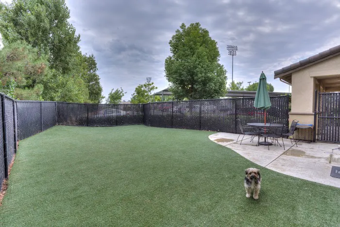 VCA Antioch Animal Hospital - Deer Valley Picture 2