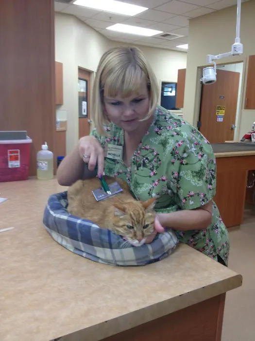 VCA Antioch Animal Hospital - Deer Valley Picture 8