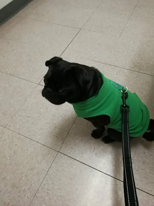 Companion Pet Hospital Picture 2