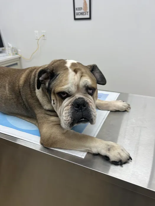 Lone Tree Veterinary Hospital & Urgent Care Picture 1