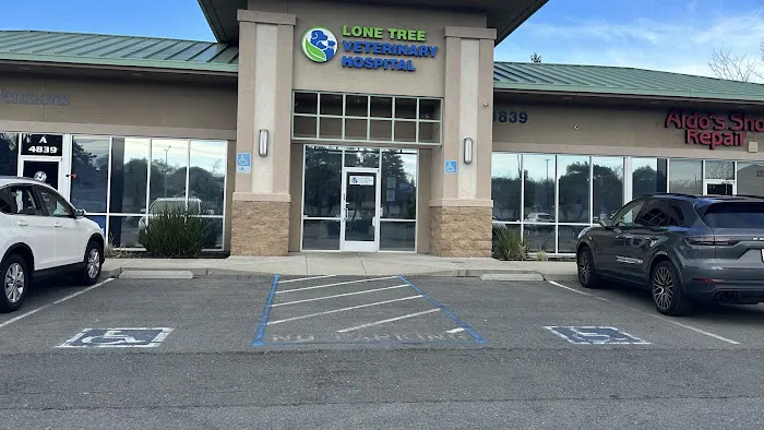 Lone Tree Veterinary Hospital & Urgent Care Picture 10