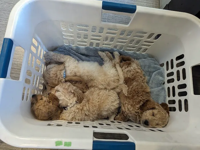 Hamilton Veterinary Clinic Picture 3