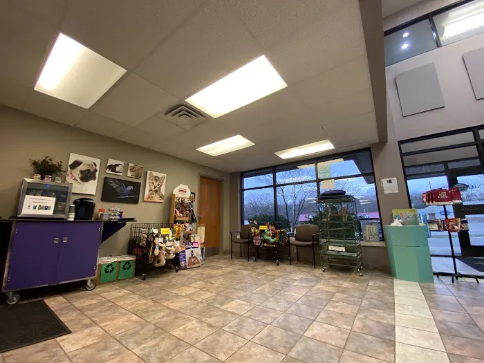Kingdom Animal Hospital Picture 1