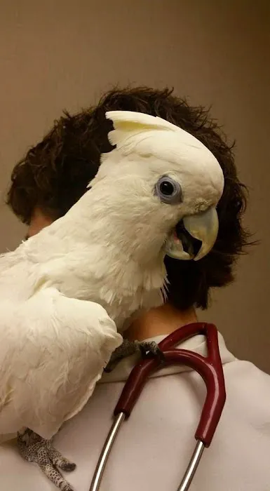 Kingdom Animal Hospital Picture 2
