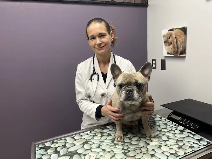 Kingdom Animal Hospital Picture 9